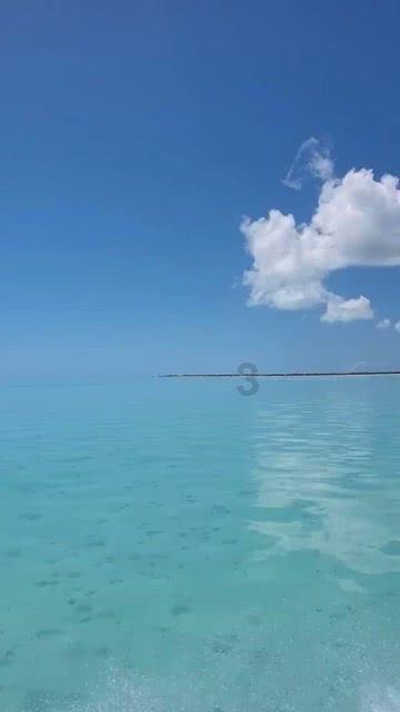 深度交流,尽在如何与老公的父母相处好?